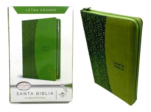 Biblia Rvr60 Letra Grande Con Imagenes De Tierra Santa