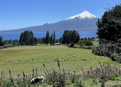 Parcela En Venta En Puerto Varas