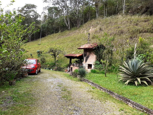 Imagem 7 de 14 de Sítio 13 Alqueires ( 314,600 M² ) A 7 Km Da Rodovia