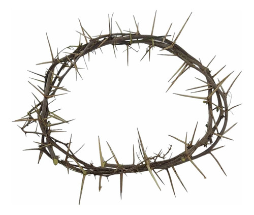 Corona De Espinas Jesus Cristo Semana Santa - Envió Gratis 