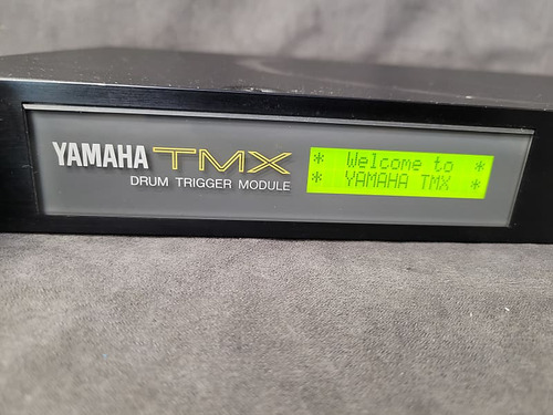 Módulo Yamaha Tmx 