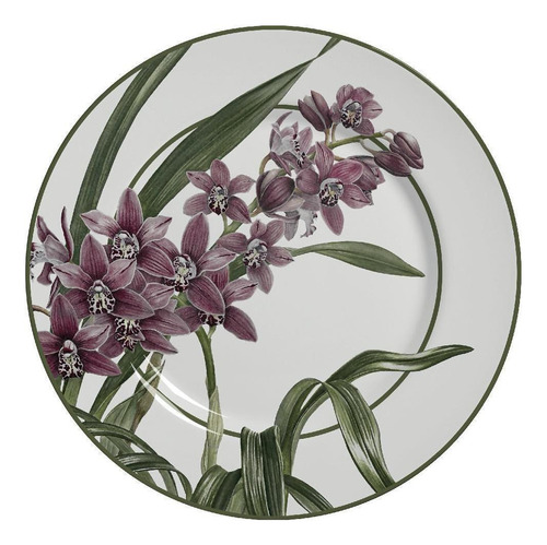 Aparelho De Jantar 20 Peças Orquídea Alleanza