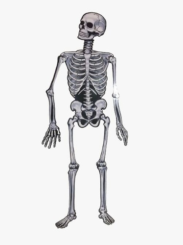 Painel Esqueleto 1un Articulado 149x39cm Festa Maluca 