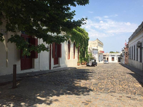 Locales Comerciales Alquiler Colonia Del Sacramento