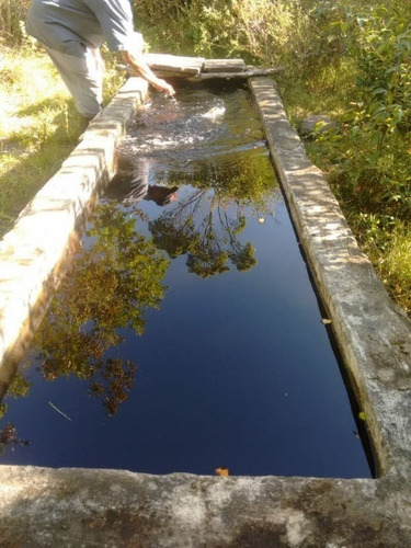 Imagem 17 de 27 de Fazenda Com 377 Tarefas Em Morro Do Chapéu - Bahia - Afd015 - 70334233