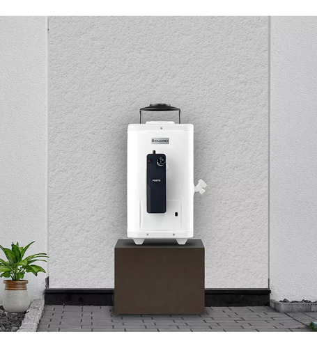 Calentador D'paso 6l 1 Servicio Fortis Calorex Blanco Glp