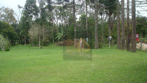 Imagem 1 de 10 de Chácara À Venda, 73.568 M² Por R$ 1.100.000 - Imbuial - Colombo/pr - Ch0011