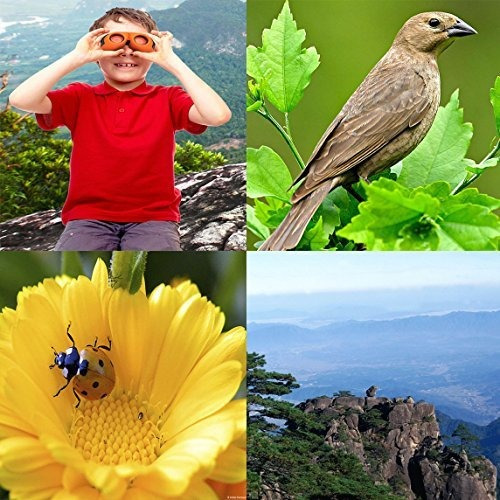 Los Mejores Juguetes Para Niños Binoculares De Viaje