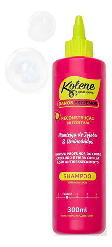 Shampoo Danos Extremos Reconstrução Nutritiva 300ml Kolene