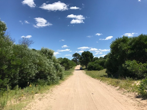 Lote En Las Gaviotas Unifamiliar