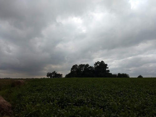 Imagen 7 de 8 de Excelente Campo Agrícola En Torres
