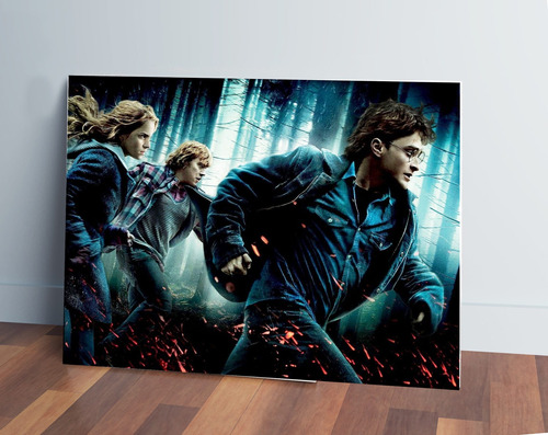 Cuadro 196 Harry Potter 70x100 Mdf Memoestampados