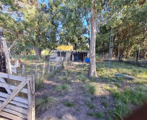 Imagen 12 de 17 de Propiedades Rurales Agricola - Venta