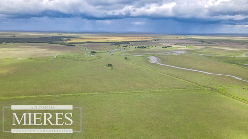 Campo En Rocha Ganadero Agrícola 125ha (ref: Atm-7988)