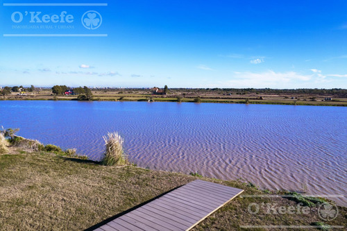 Lote En Venta En Puerto Nizuc - Oportunidad De Inversión En Guillermo Hudson
