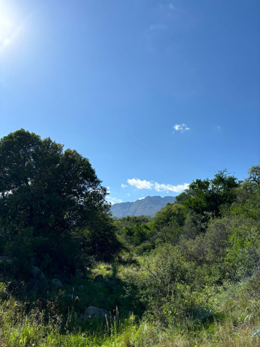 Terreno 3 Hectáreas En Las Rabonas, Traslasierra (ref 208)