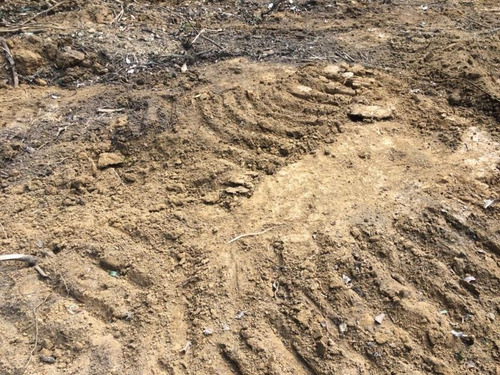 Imagem 1 de 5 de Fazenda Para Venda Em Buriticupu, Buriticupu - 3001/18