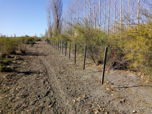 Imagen 21 de 26 de Venta Campo 103 Ha General Alvear