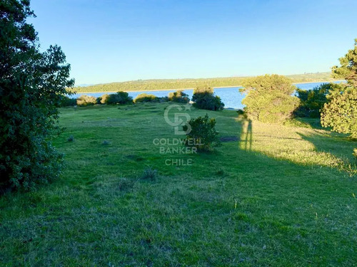 Isla Chaullin Helvecia, Orilla De Playa, Calbuco.