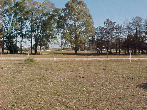 Rambla Costanera