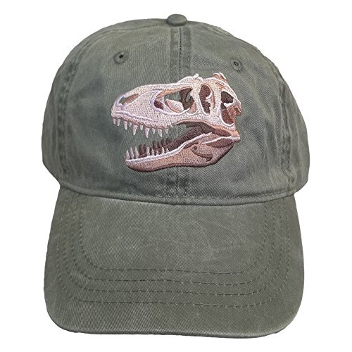 Eco Desgaste T-rex Tyrannosaurus Dinosaurio Bordado D0q6x