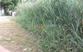 Imagem 15 de 20 de Terreno - Ref: Scv10867