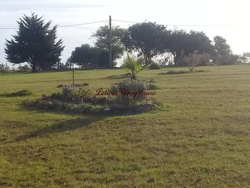 Imagen 18 de 22 de Venta De Chacra Con Casa , 5 Has , Maldonado