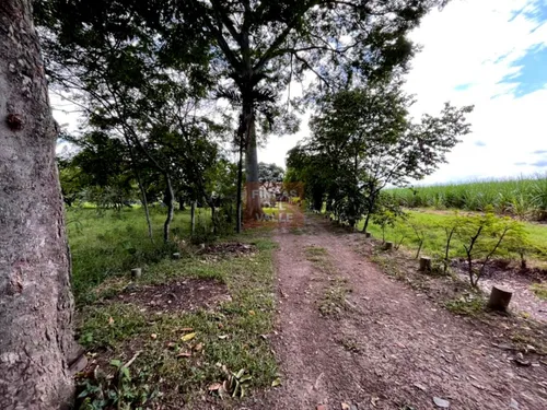 Villa Gorgona, 12.800 M2, Finca En Venta
