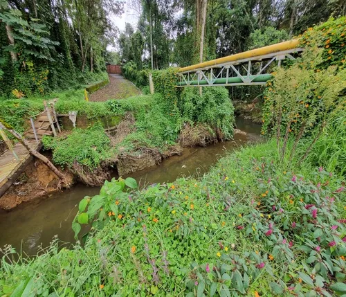 Lote En Venta En Alto De Las Palmas Vereda La Esperanza