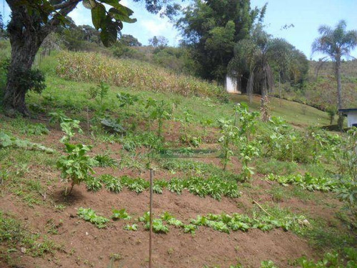 Imagem 24 de 30 de Chácara Com 2 Casas À Venda, 4000 M² Por R$ 550.000 - Zona Rural - Santo Antônio Do Pinhal/sp - Ch0095