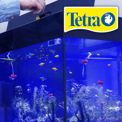 Tetra Glofish Hojuela 45 Gr Peces Fluorescentes Y Tropicales