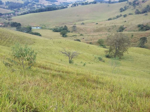 Imagem 22 de 29 de Fazenda De Gado Com 263 Hectares Itajuba - 36525