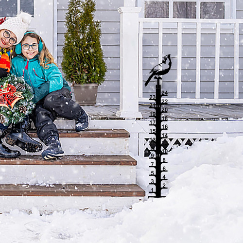 Regla De Nieve En Forma De Y Para Decoración Exterior, Diseñ