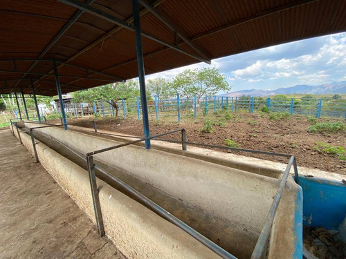 Imagen 11 de 14 de Granja En Venta En Valencia