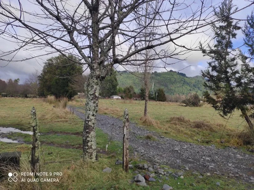 Parcela En Venta | 5.000 M² | Riñinahue - Lago Ranco