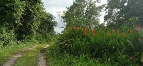 Terreno De Chácara Com Escritura E 1107m² 7864