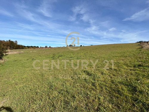 Imagen 3 de 15 de Hermoso Y Cuidado Condominio Con Vista Al Volcan Y Lago