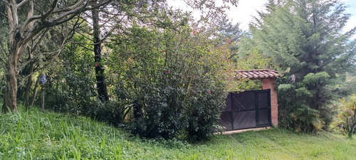 Imagen 3 de 30 de Finca En El Peñol Antioquia 7500 Mts Cuadrados. Escrituras Al Día.