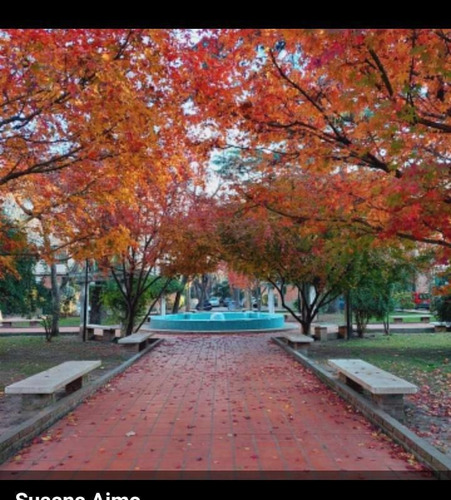 Imagen 2 de 16 de Parque Los Andes 3 Ambientes Todo Sol