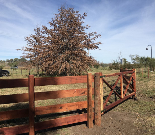 Imagen 3 de 5 de Terreno En Venta En Altos De Areco