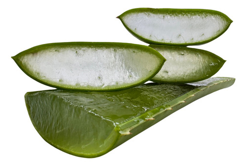  Babosa (folha) Verdadeira Aloe Vera Orgânico Medicinal 500g
