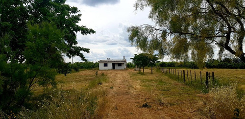 Imagen 7 de 9 de Oportunidad! Casa Sobre Camino Ariano - 1 Hectárea - Las Piedras
