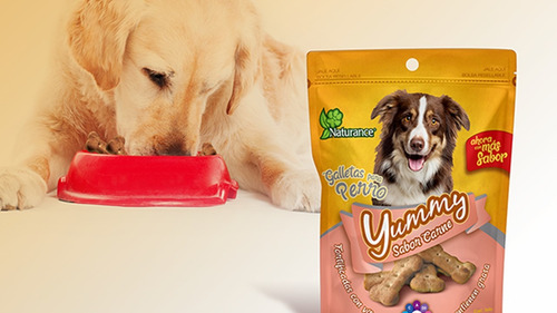 Paquete 3 Yummy Sabor Carne Galletas Para Perro 100 Gr
