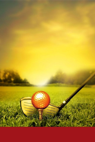#31 Poster Golf 30x40 Envios A Todo El Pais 