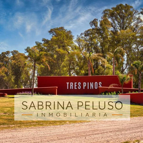Venta Terreno Tres Pinos