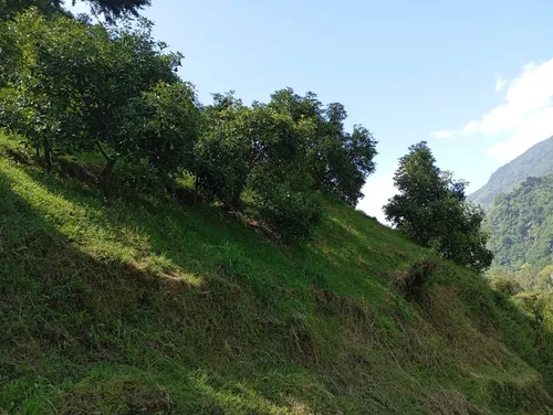 Finca Via Juntas - Ibagué