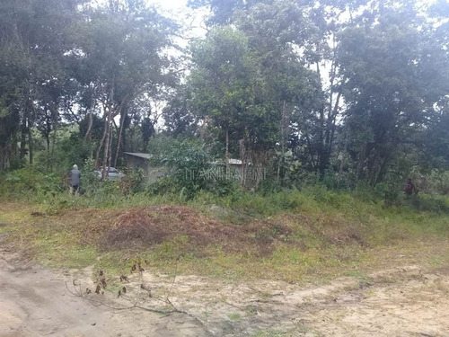 Imagem 2 de 3 de Terreno A Venda Em Itanhaém - Sue43