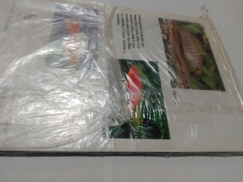 Imagen 4 de 4 de Peces Mollys Cuidados Y Todo Lo Que Necesites Saber