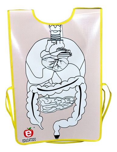 Juego Didáctico De Anatomía Del Cuerpo Humano