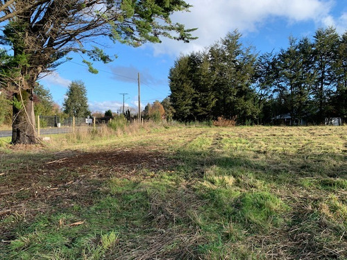 Parcela D 12.000 M2, A 4 K Del Centro, Cabo Blanco Valdivia